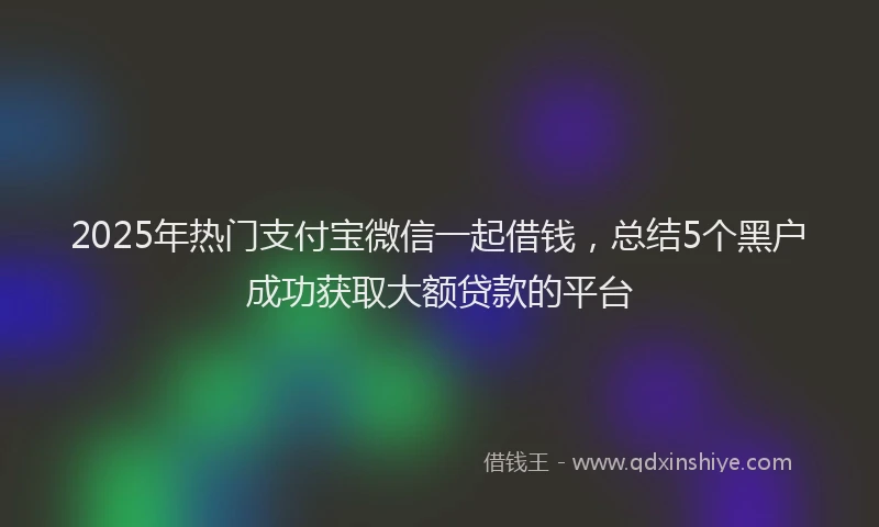 2025年热门支付宝微信一起借钱，总结5个黑户成功获取大额贷款的平台