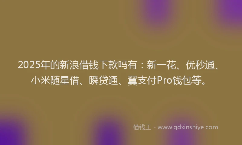 2025年的新浪借钱下款吗有：新一花、优秒通、小米随星借、瞬贷通、翼支付Pro钱包等。