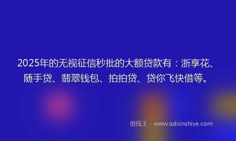 2025年的无视征信秒批的大额贷款有：浙享花、随手贷、翡翠钱包、拍拍贷、贷你飞快借等。