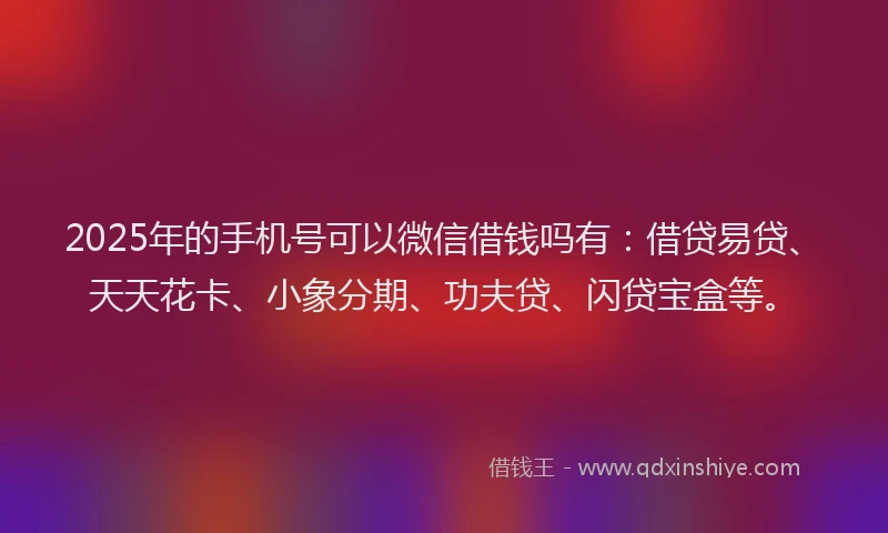 2025年的手机号可以微信借钱吗有：借贷易贷、天天花卡、小象分期、功夫贷、闪贷宝盒等。