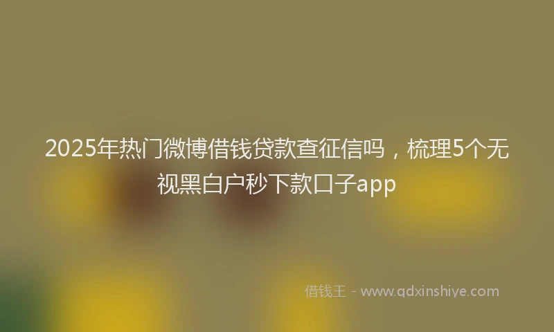 2025年热门微博借钱贷款查征信吗，梳理5个无视黑白户秒下款口子app