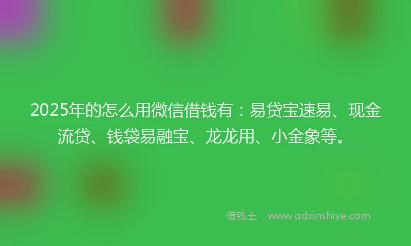 2025年的怎么用微信借钱有：易贷宝速易、现金流贷、钱袋易融宝、龙龙用、小金象等。