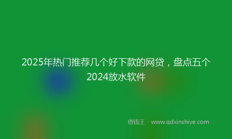 2025年热门推荐几个好下款的网贷，盘点五个2024放水软件