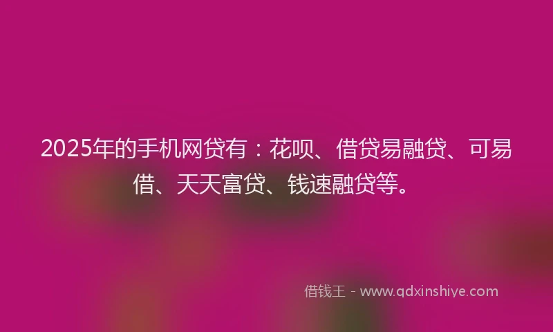2025年的手机网贷有：花呗、借贷易融贷、可易借、天天富贷、钱速融贷等。