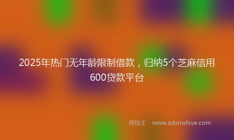 2025年热门无年龄限制借款，归纳5个芝麻信用600贷款平台
