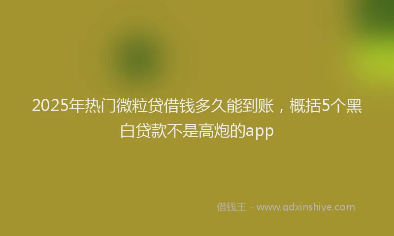 2025年热门微粒贷借钱多久能到账，概括5个黑白贷款不是高炮的app