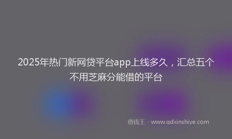2025年热门新网贷平台app上线多久，汇总五个不用芝麻分能借的平台