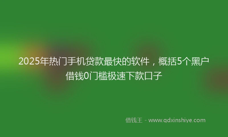 2025年热门手机贷款最快的软件，概括5个黑户借钱0门槛极速下款口子
