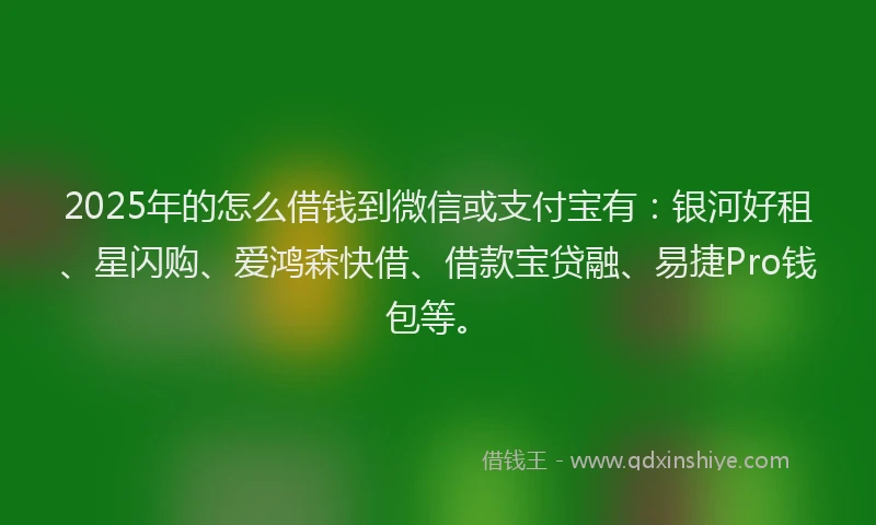 2025年的怎么借钱到微信或支付宝有：银河好租、星闪购、爱鸿森快借、借款宝贷融、易捷Pro钱包等。