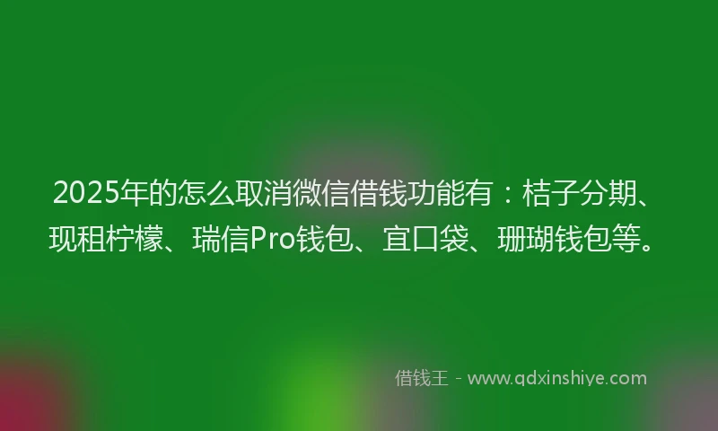 2025年的怎么取消微信借钱功能有：桔子分期、现租柠檬、瑞信Pro钱包、宜口袋、珊瑚钱包等。