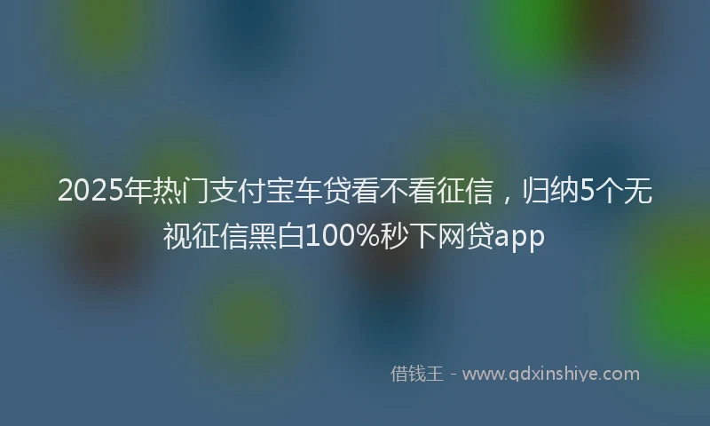 2025年热门支付宝车贷看不看征信，归纳5个无视征信黑白100%秒下网贷app