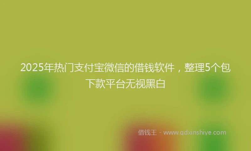 2025年热门支付宝微信的借钱软件，整理5个包下款平台无视黑白