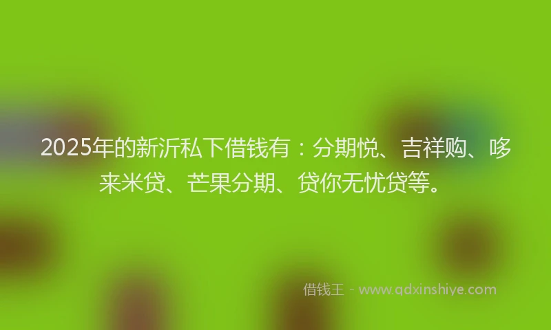 2025年的新沂私下借钱有：分期悦、吉祥购、哆来米贷、芒果分期、贷你无忧贷等。