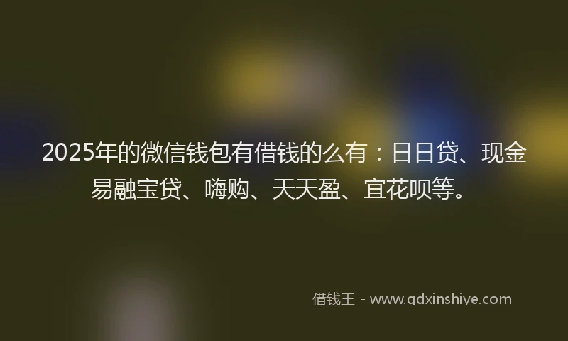 2025年的微信钱包有借钱的么有：日日贷、现金易融宝贷、嗨购、天天盈、宜花呗等。