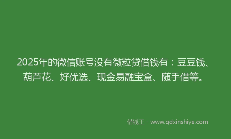 2025年的微信账号没有微粒贷借钱有：豆豆钱、葫芦花、好优选、现金易融宝盒、随手借等。