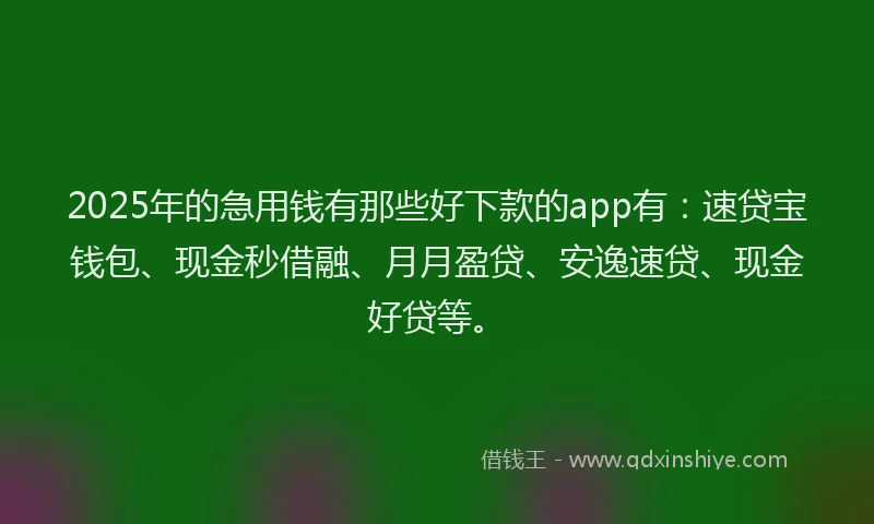 2025年的急用钱有那些好下款的app有：速贷宝钱包、现金秒借融、月月盈贷、安逸速贷、现金好贷等。