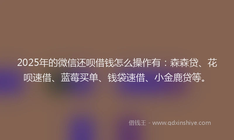 2025年的微信还呗借钱怎么操作有：森森贷、花呗速借、蓝莓买单、钱袋速借、小金鹿贷等。