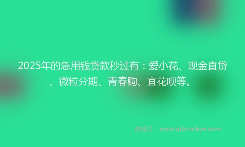 2025年的急用钱贷款秒过有：爱小花、现金直贷、微粒分期、青春购、宜花呗等。