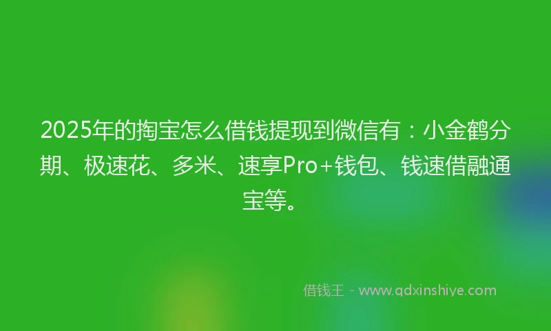 2025年的掏宝怎么借钱提现到微信有：小金鹤分期、极速花、多米、速享Pro+钱包、钱速借融通宝等。