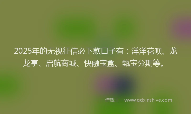 2025年的无视征信必下款口子有：洋洋花呗、龙龙享、启航商城、快融宝盒、甄宝分期等。