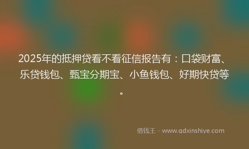 2025年的抵押贷看不看征信报告有：口袋财富、乐贷钱包、甄宝分期宝、小鱼钱包、好期快贷等。