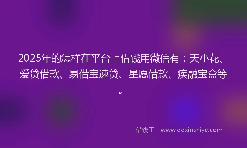2025年的怎样在平台上借钱用微信有：天小花、爱贷借款、易借宝速贷、星愿借款、疾融宝盒等。