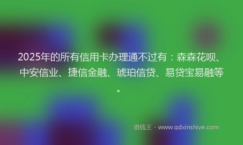 2025年的所有信用卡办理通不过有：森森花呗、中安信业、捷信金融、琥珀信贷、易贷宝易融等。