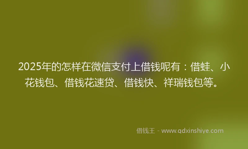 2025年的怎样在微信支付上借钱呢有：借蛙、小花钱包、借钱花速贷、借钱快、祥瑞钱包等。