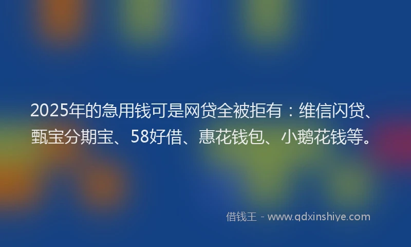2025年的急用钱可是网贷全被拒有：维信闪贷、甄宝分期宝、58好借、惠花钱包、小鹅花钱等。