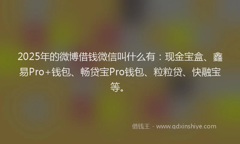 2025年的微博借钱微信叫什么有：现金宝盒、鑫易Pro+钱包、畅贷宝Pro钱包、粒粒贷、快融宝等。