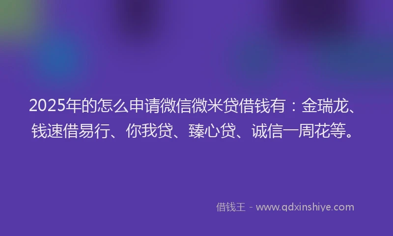 2025年的怎么申请微信微米贷借钱有：金瑞龙、钱速借易行、你我贷、臻心贷、诚信一周花等。