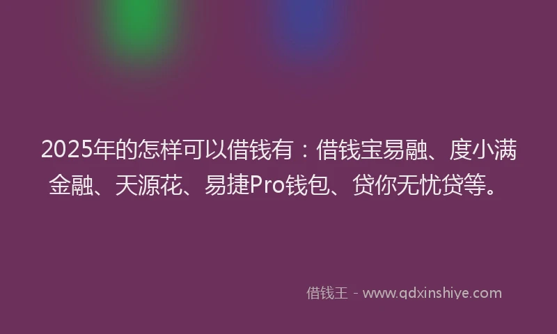 2025年的怎样可以借钱有：借钱宝易融、度小满金融、天源花、易捷Pro钱包、贷你无忧贷等。