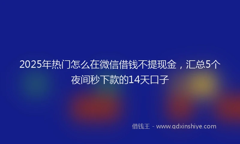 2025年热门怎么在微信借钱不提现金，汇总5个夜间秒下款的14天口子