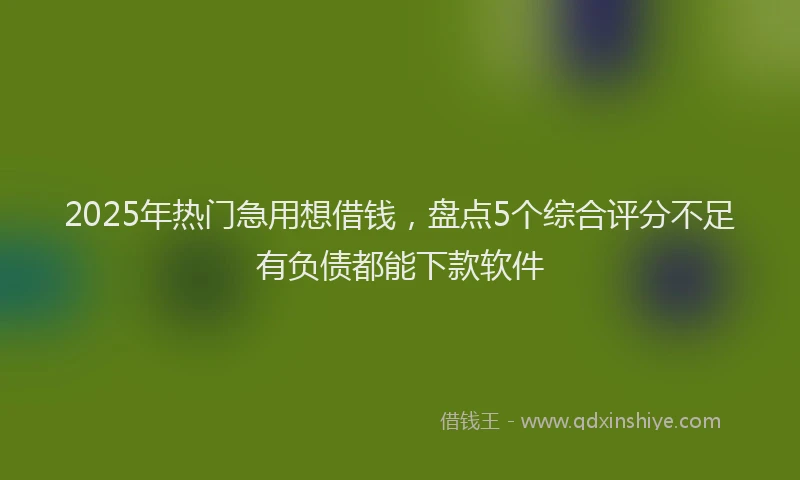 2025年热门急用想借钱，盘点5个综合评分不足有负债都能下款软件