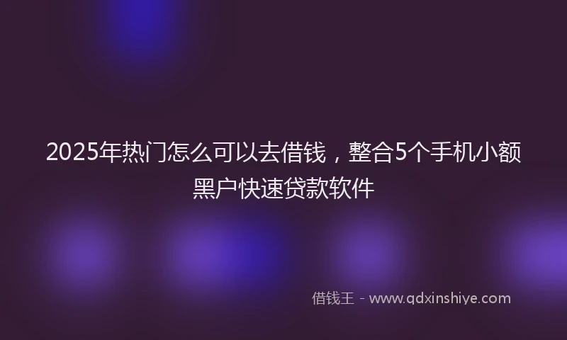 2025年热门怎么可以去借钱，整合5个手机小额黑户快速贷款软件
