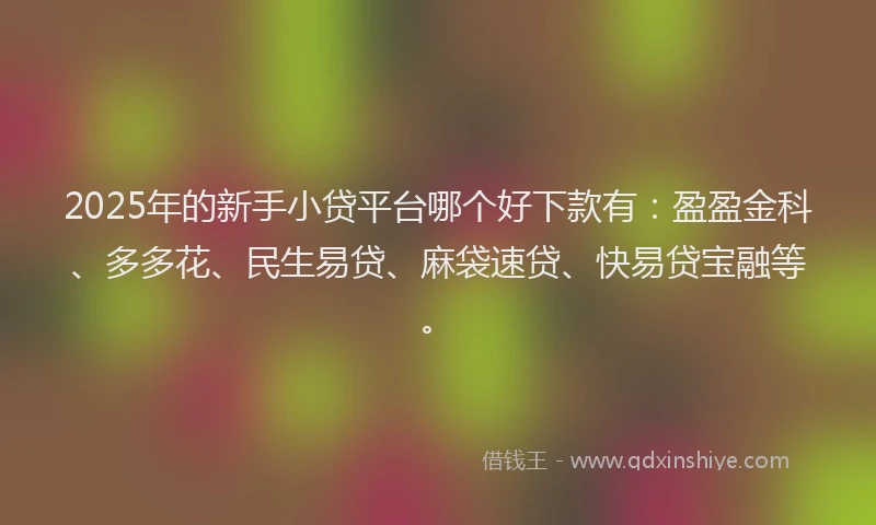 2025年的新手小贷平台哪个好下款有：盈盈金科、多多花、民生易贷、麻袋速贷、快易贷宝融等。