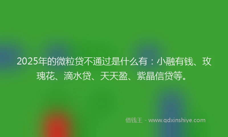 2025年的微粒贷不通过是什么有：小融有钱、玫瑰花、滴水贷、天天盈、紫晶信贷等。