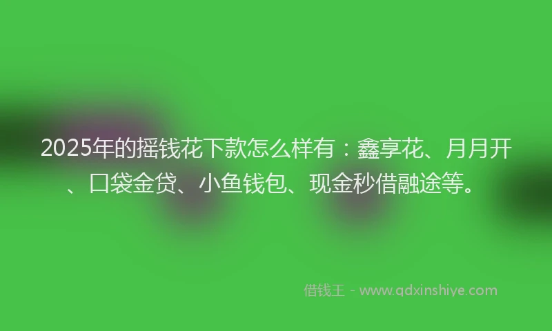 2025年的摇钱花下款怎么样有：鑫享花、月月开、口袋金贷、小鱼钱包、现金秒借融途等。