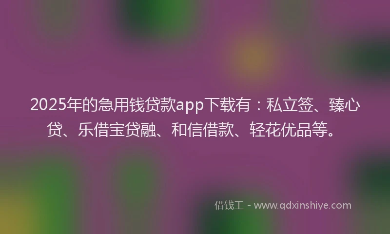 2025年的急用钱贷款app下载有：私立签、臻心贷、乐借宝贷融、和信借款、轻花优品等。