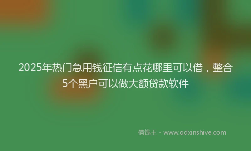 2025年热门急用钱征信有点花哪里可以借，整合5个黑户可以做大额贷款软件