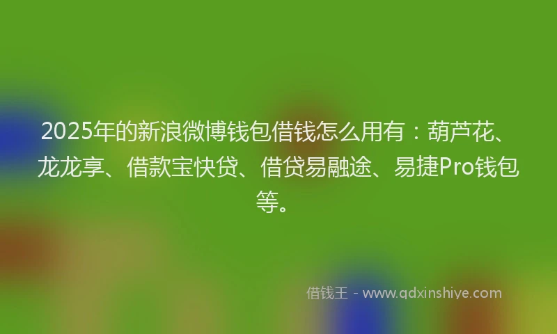 2025年的新浪微博钱包借钱怎么用有：葫芦花、龙龙享、借款宝快贷、借贷易融途、易捷Pro钱包等。