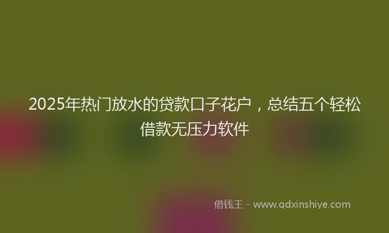 2025年热门放水的贷款口子花户，总结五个轻松借款无压力软件