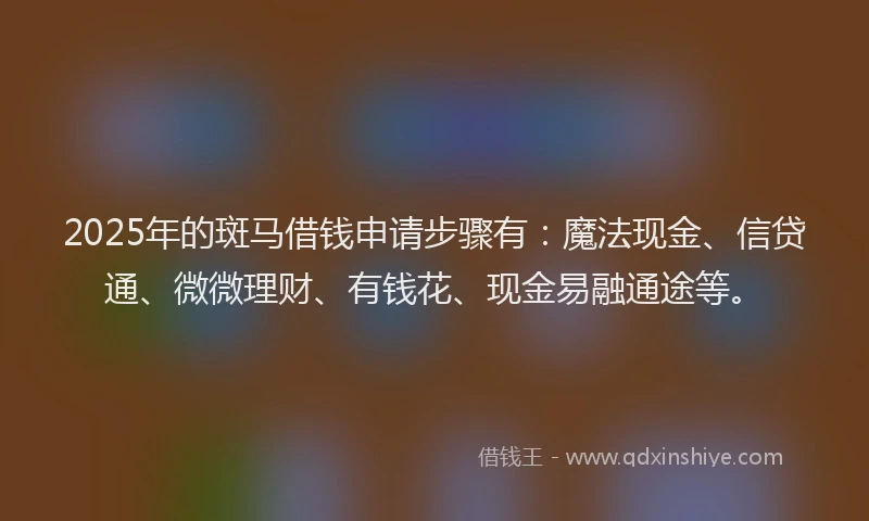 2025年的斑马借钱申请步骤有：魔法现金、信贷通、微微理财、有钱花、现金易融通途等。