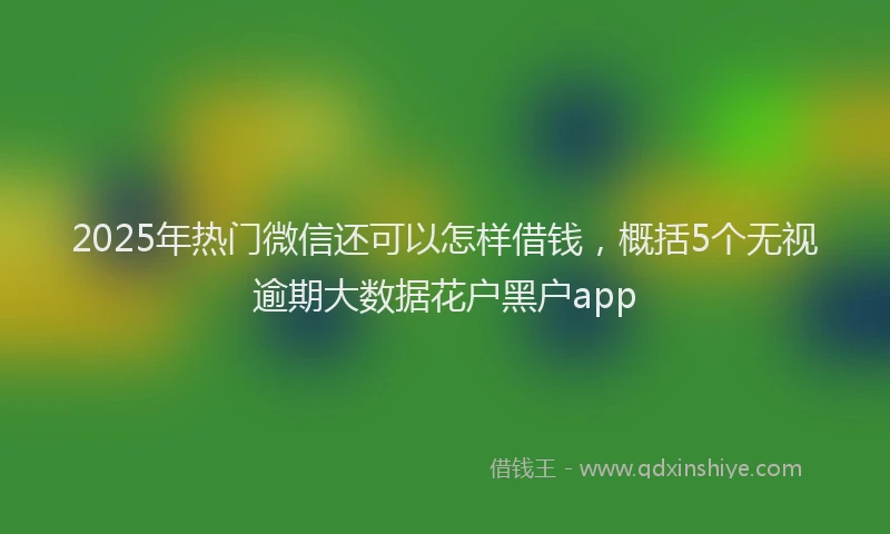 2025年热门微信还可以怎样借钱，概括5个无视逾期大数据花户黑户app