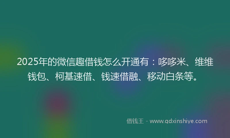 2025年的微信趣借钱怎么开通有：哆哆米、维维钱包、柯基速借、钱速借融、移动白条等。