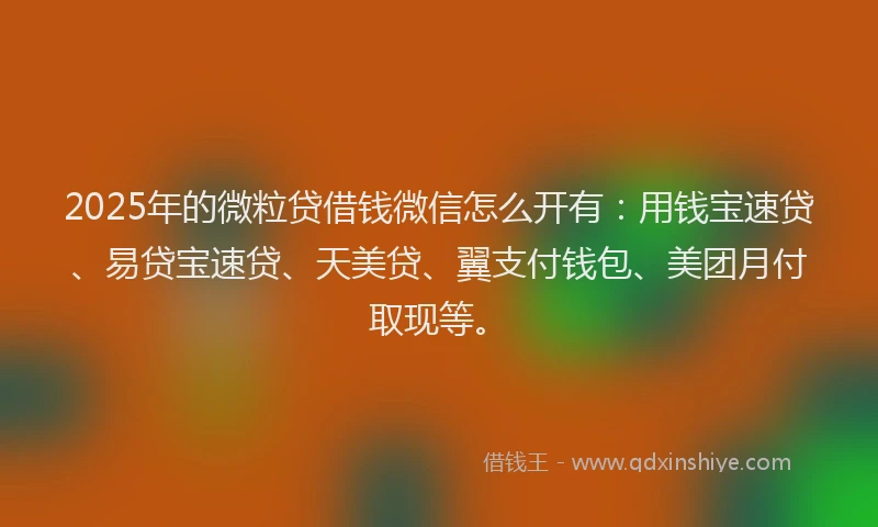 2025年的微粒贷借钱微信怎么开有：用钱宝速贷、易贷宝速贷、天美贷、翼支付钱包、美团月付取现等。