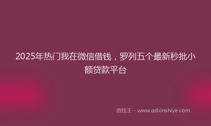 2025年热门我在微信借钱，罗列五个最新秒批小额贷款平台
