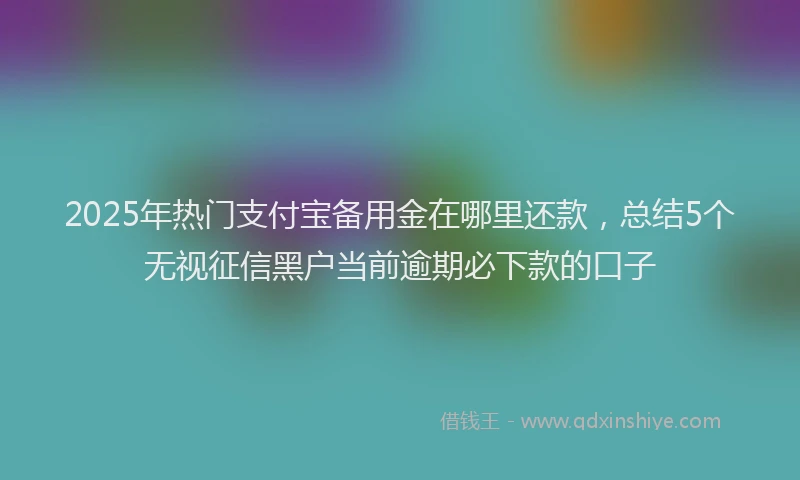 2025年热门支付宝备用金在哪里还款，总结5个无视征信黑户当前逾期必下款的口子