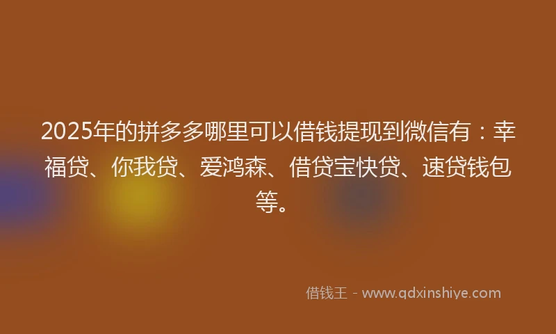 2025年的拼多多哪里可以借钱提现到微信有：幸福贷、你我贷、爱鸿森、借贷宝快贷、速贷钱包等。