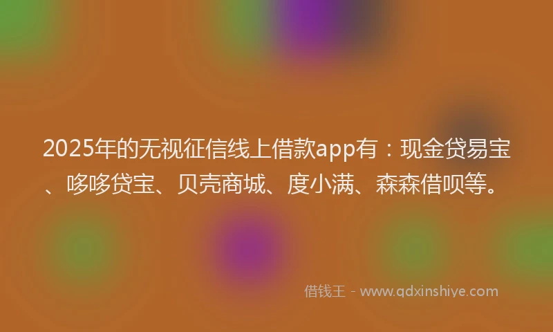 2025年的无视征信线上借款app有：现金贷易宝、哆哆贷宝、贝壳商城、度小满、森森借呗等。